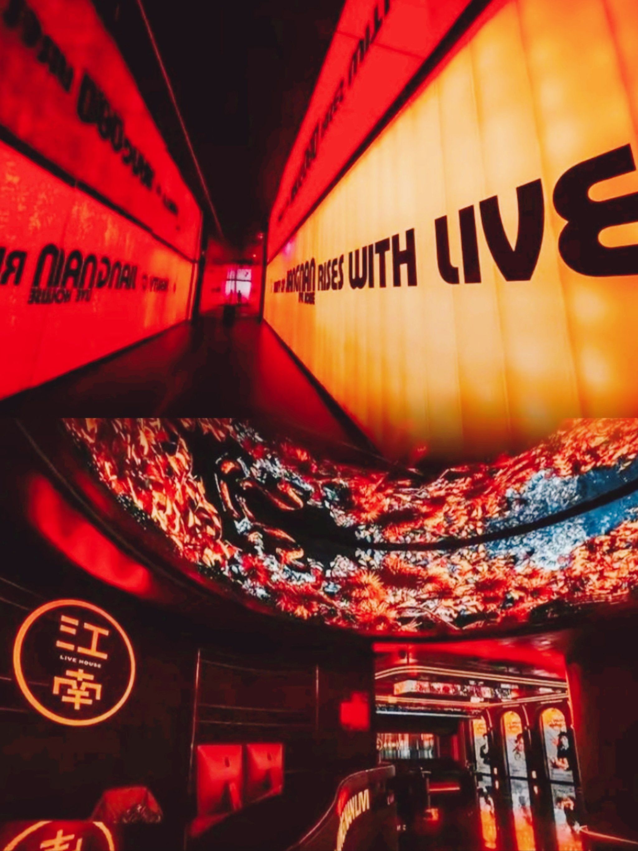 包头商务KTV最佳玩法-昆都仑区ktv预定